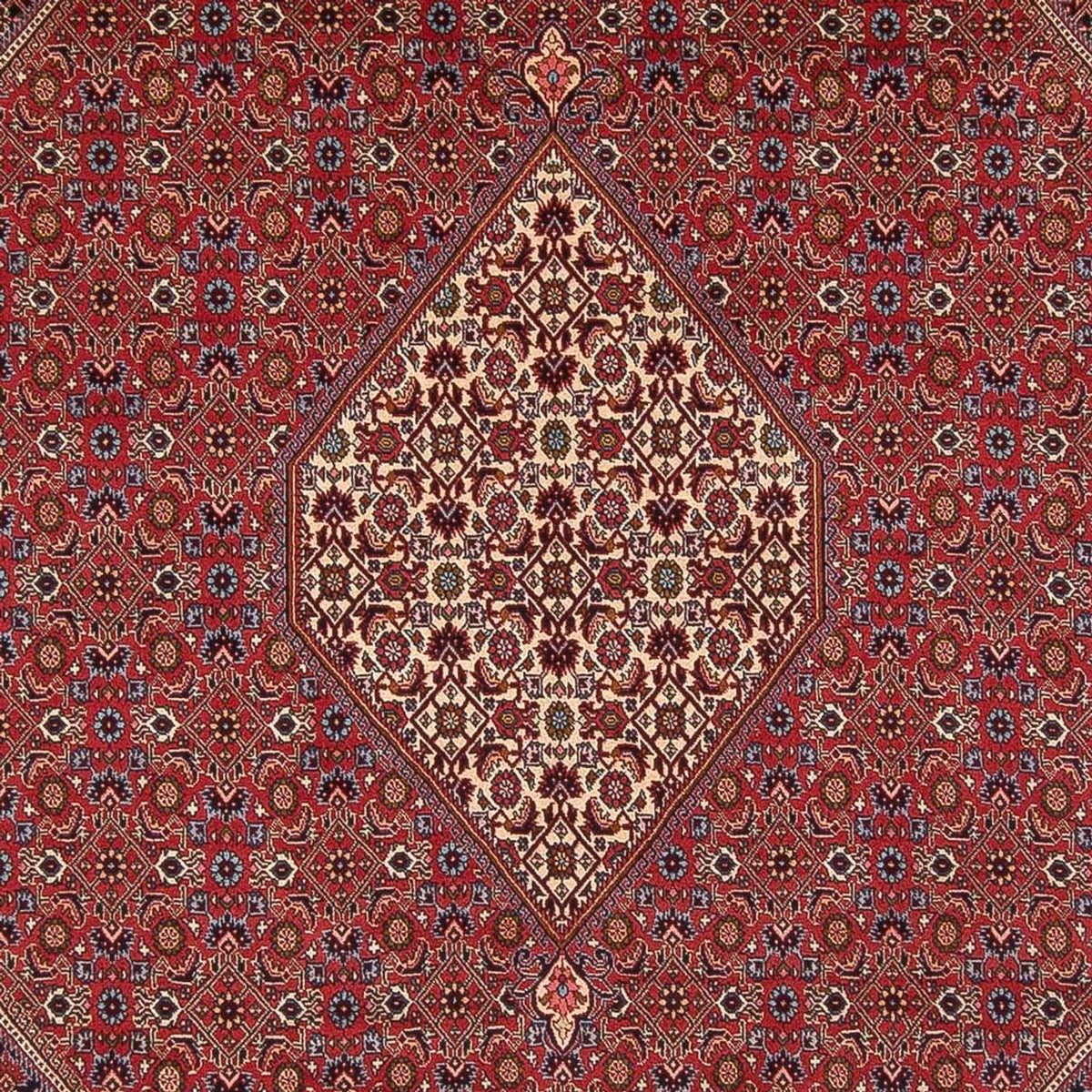 Perser Rug - Bidjar - 342 x 249 cm - red