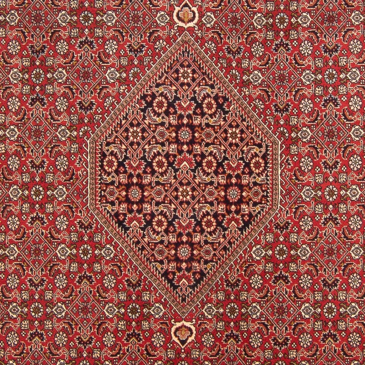 Perser Rug - Bidjar - 298 x 203 cm - red