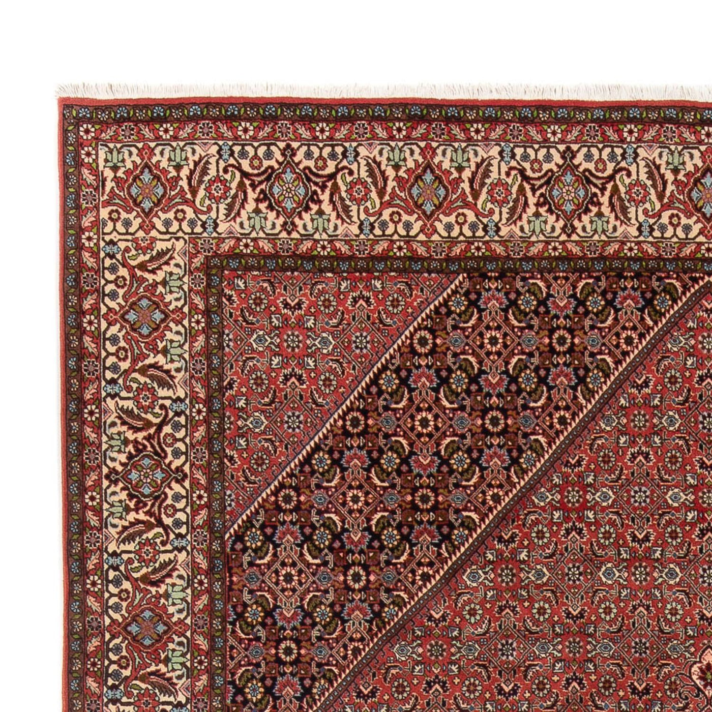 Bidjar - Bukan Teppich 334x248cm - Perserteppich