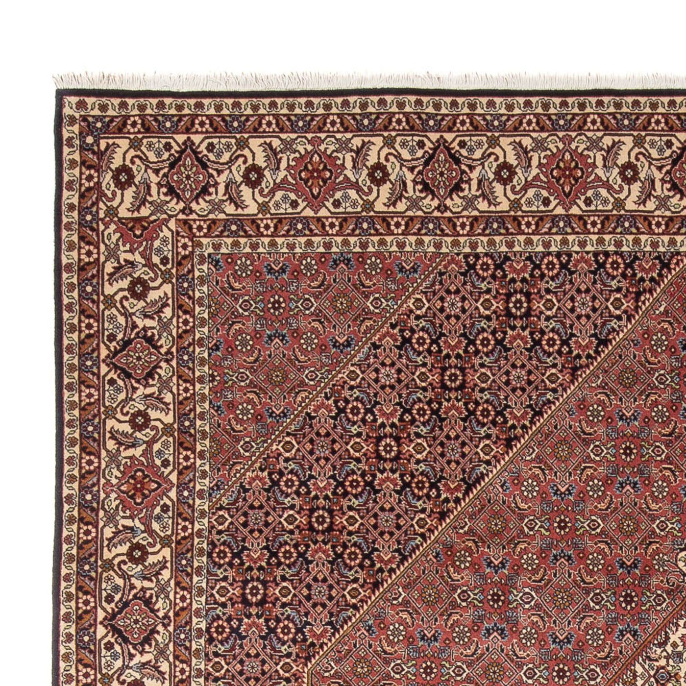 Bidjar - Bukan Rug 299x244cm - Persian Rugs