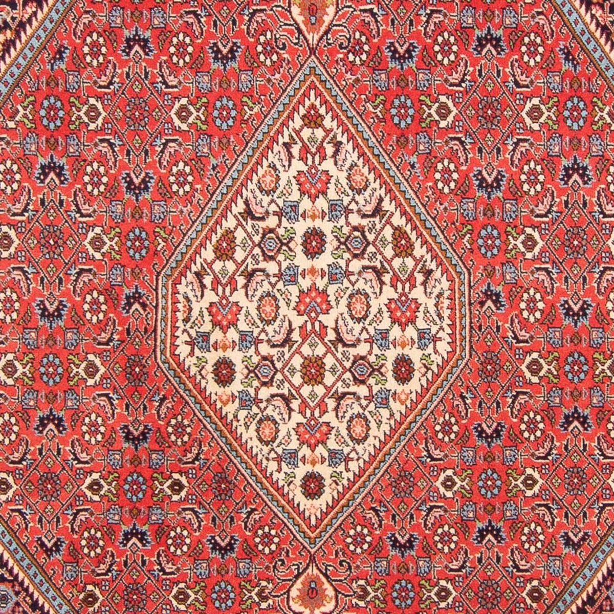 Perser Rug - Bidjar - 267 x 200 cm - red