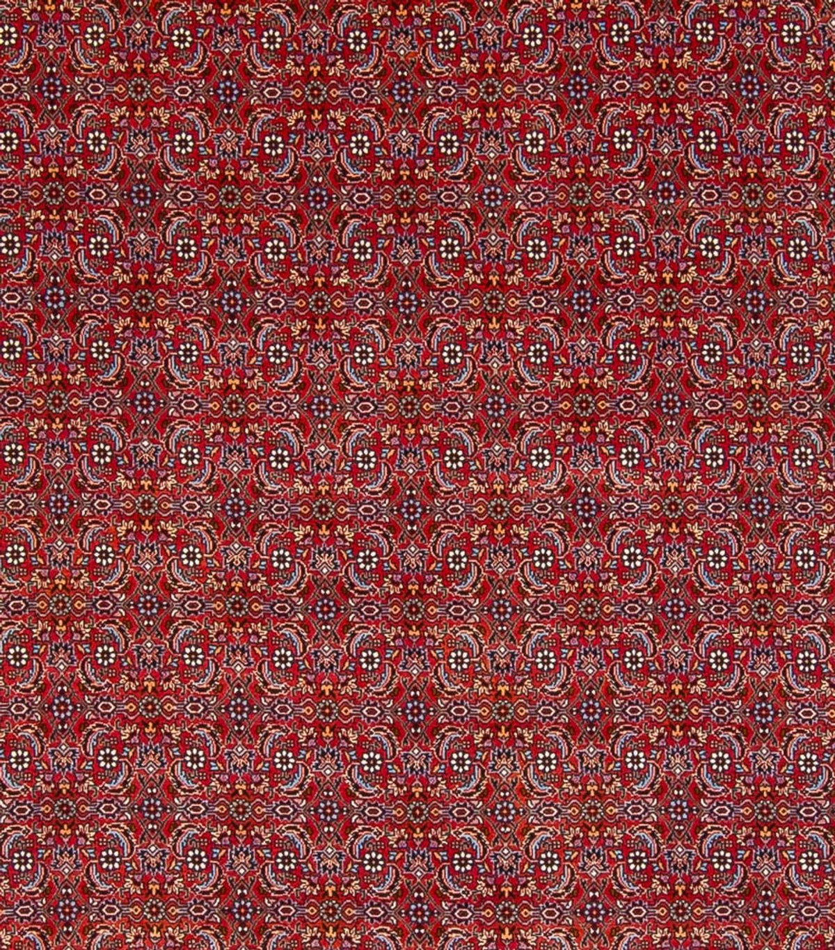 Perser Rug - Bidjar - 347 x 254 cm - red