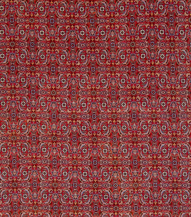 Perser Rug - Bidjar - 347 x 254 cm - red