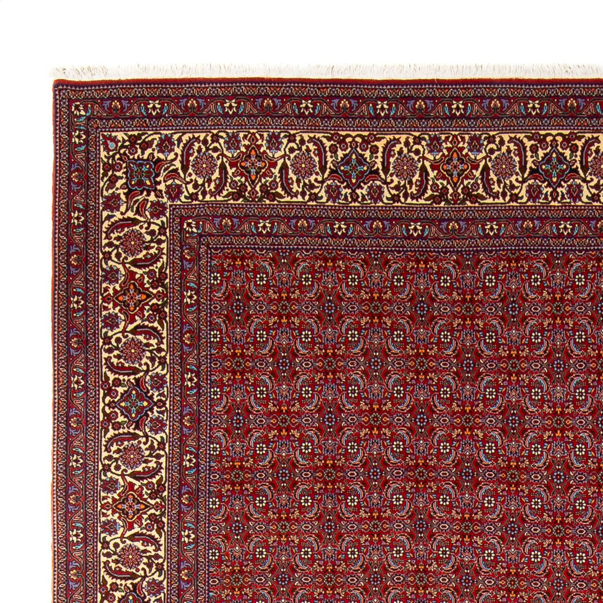 Bidjar - Takab Rug 254x347cm - Persian Rugs