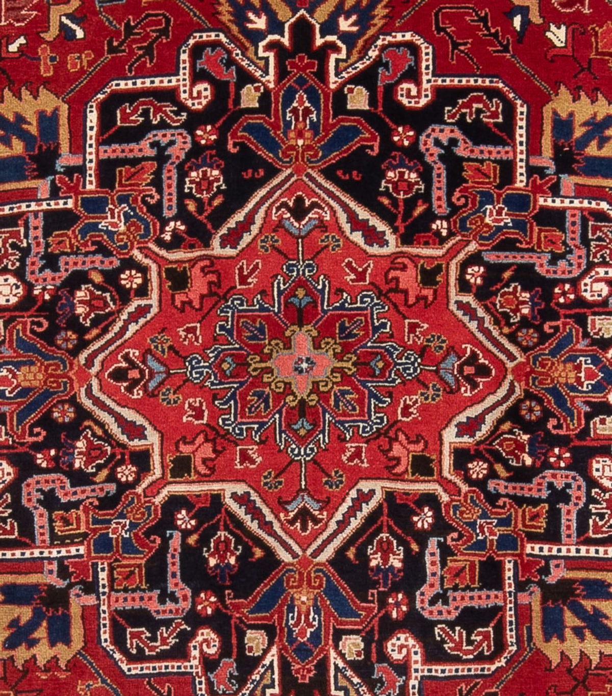 Perser Rug - Nomadic - 335 x 250 cm - red