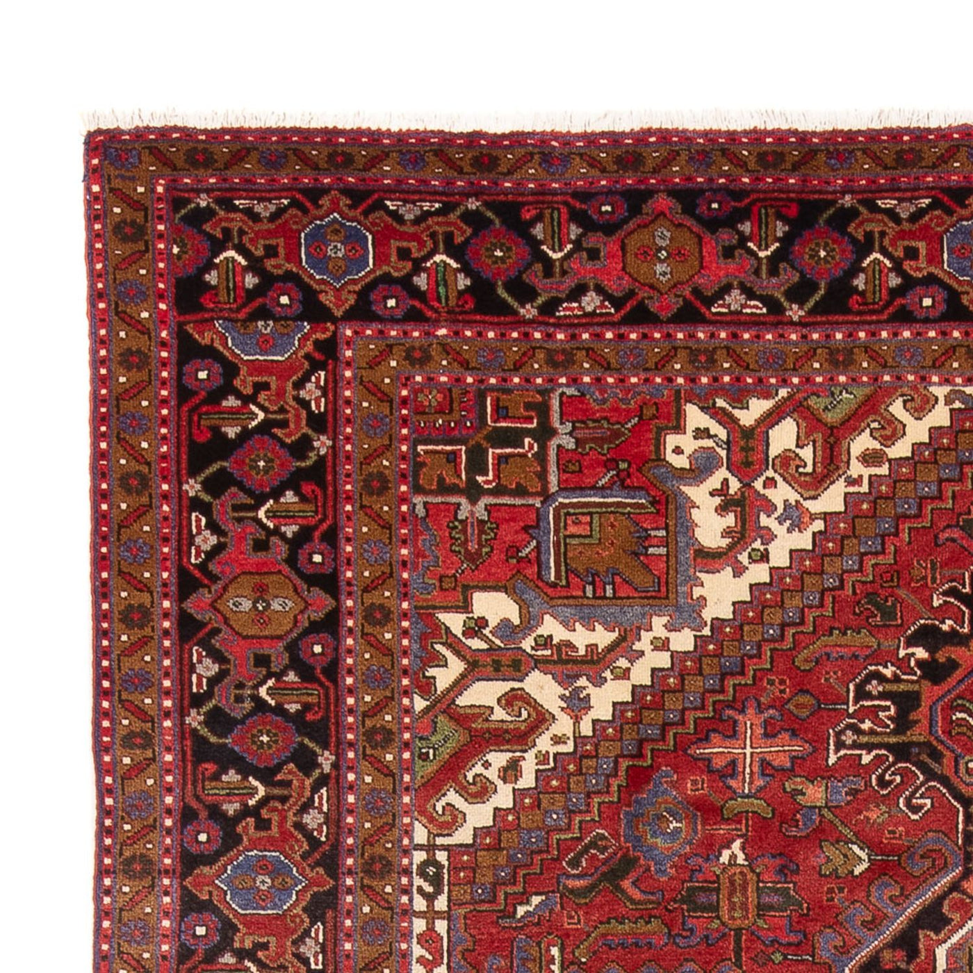 Heriz Rug 340x243cm - Persian Rugs