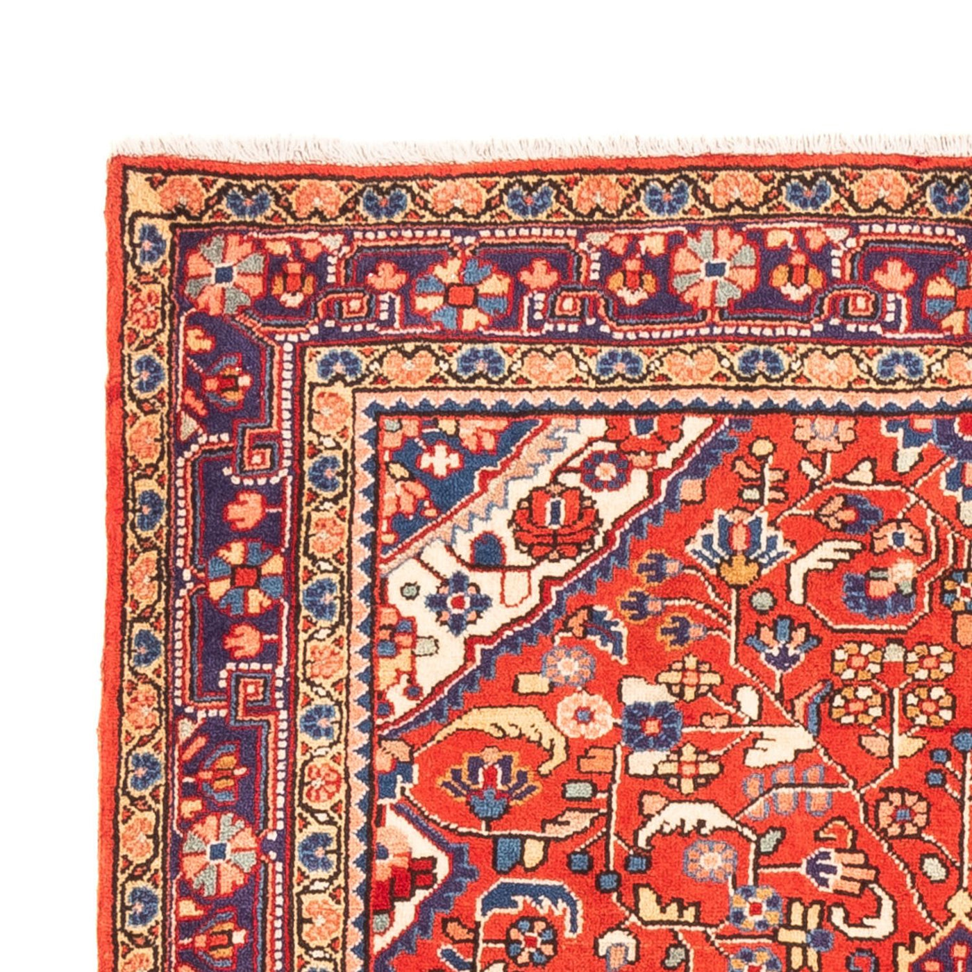 Jozan Rug 160x108cm - Persian Rugs