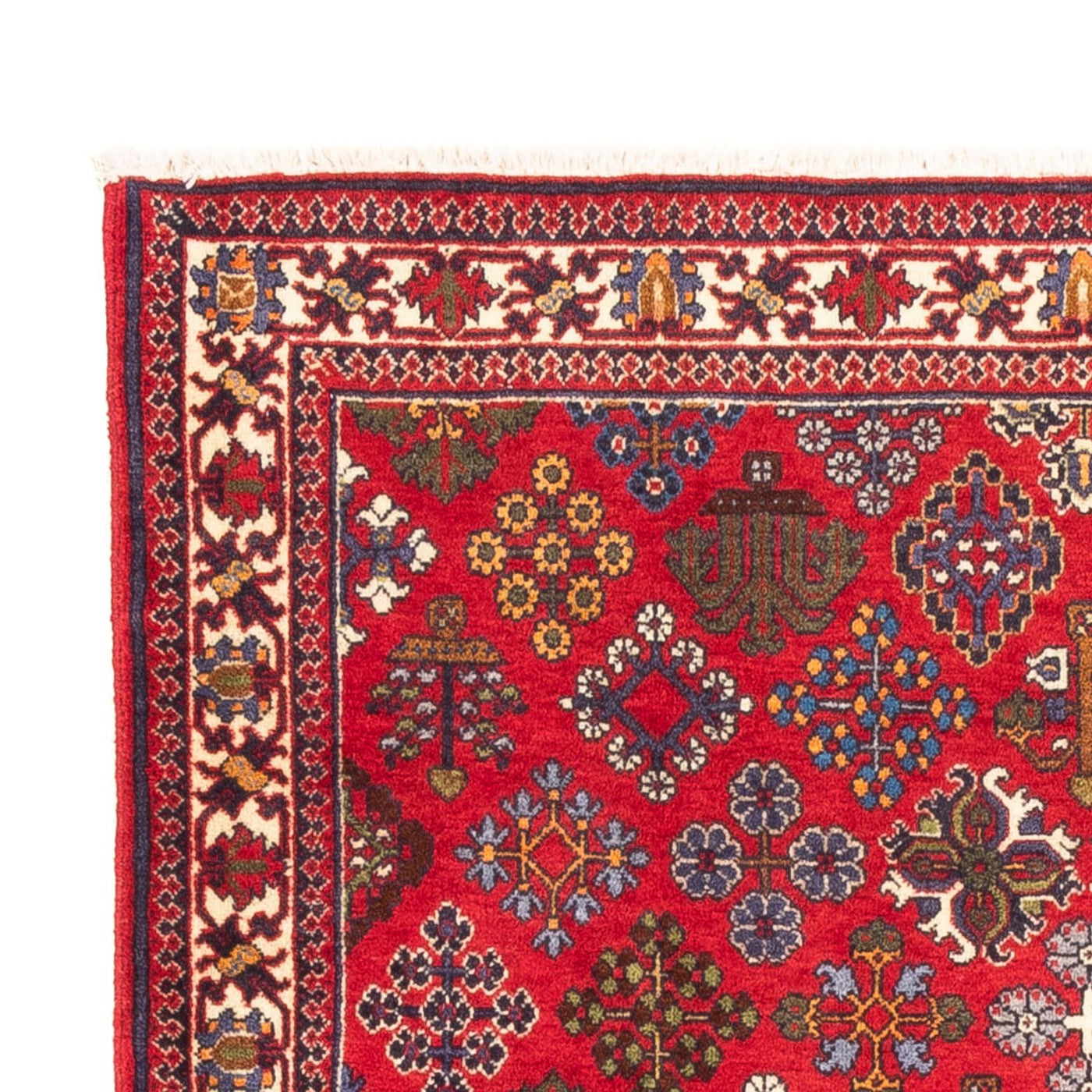 Meymeh Rug 168x110cm - Persian Rugs