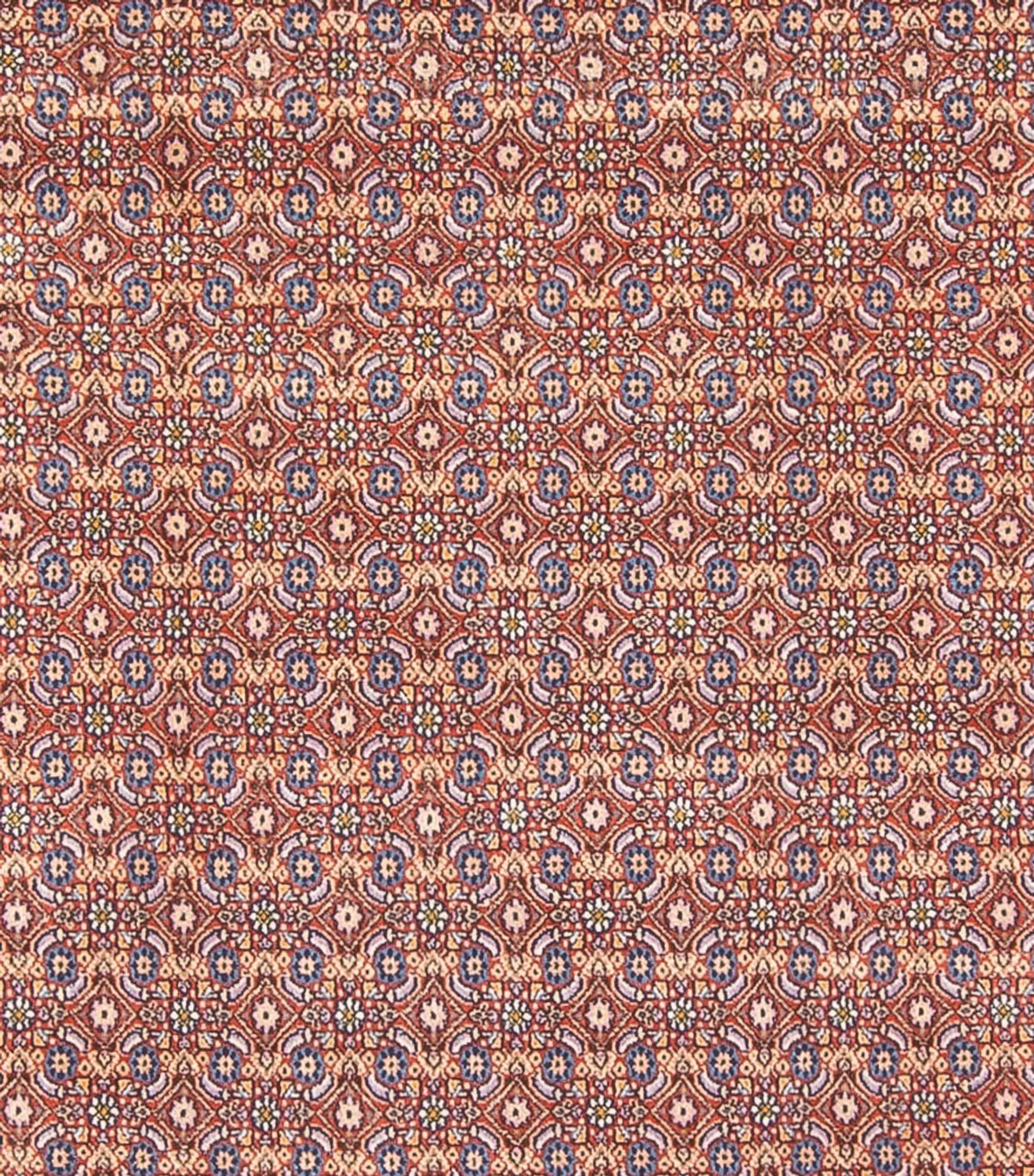 Perser Rug - Classic - 294 x 243 cm - dark blue