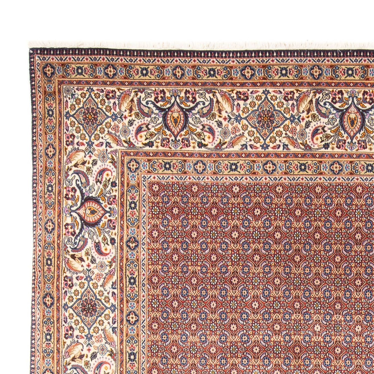 Moud Rug 243x294cm - Persian Rugs