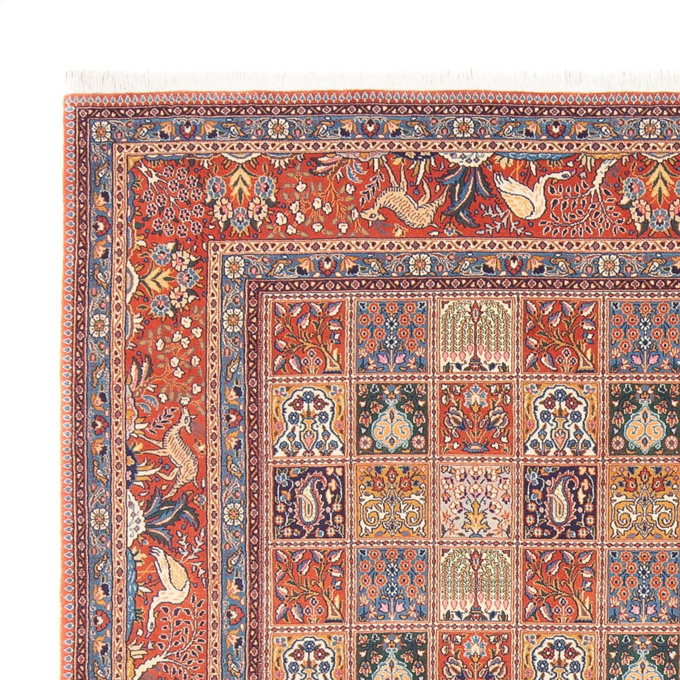 Moud Rug 262x250cm - Persian Rugs