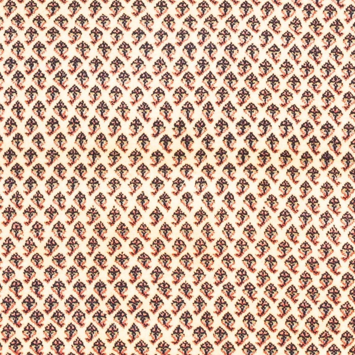 Perser Rug - Mir - 160 x 107 cm - cream