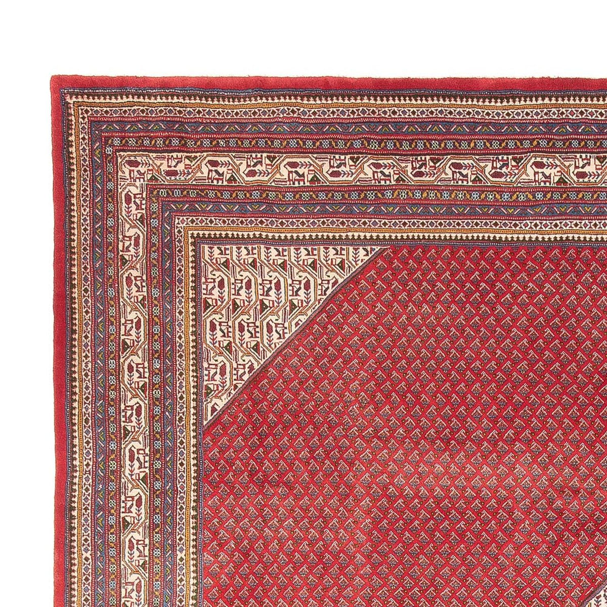 Mir Rug 300x393cm - Persian Rugs