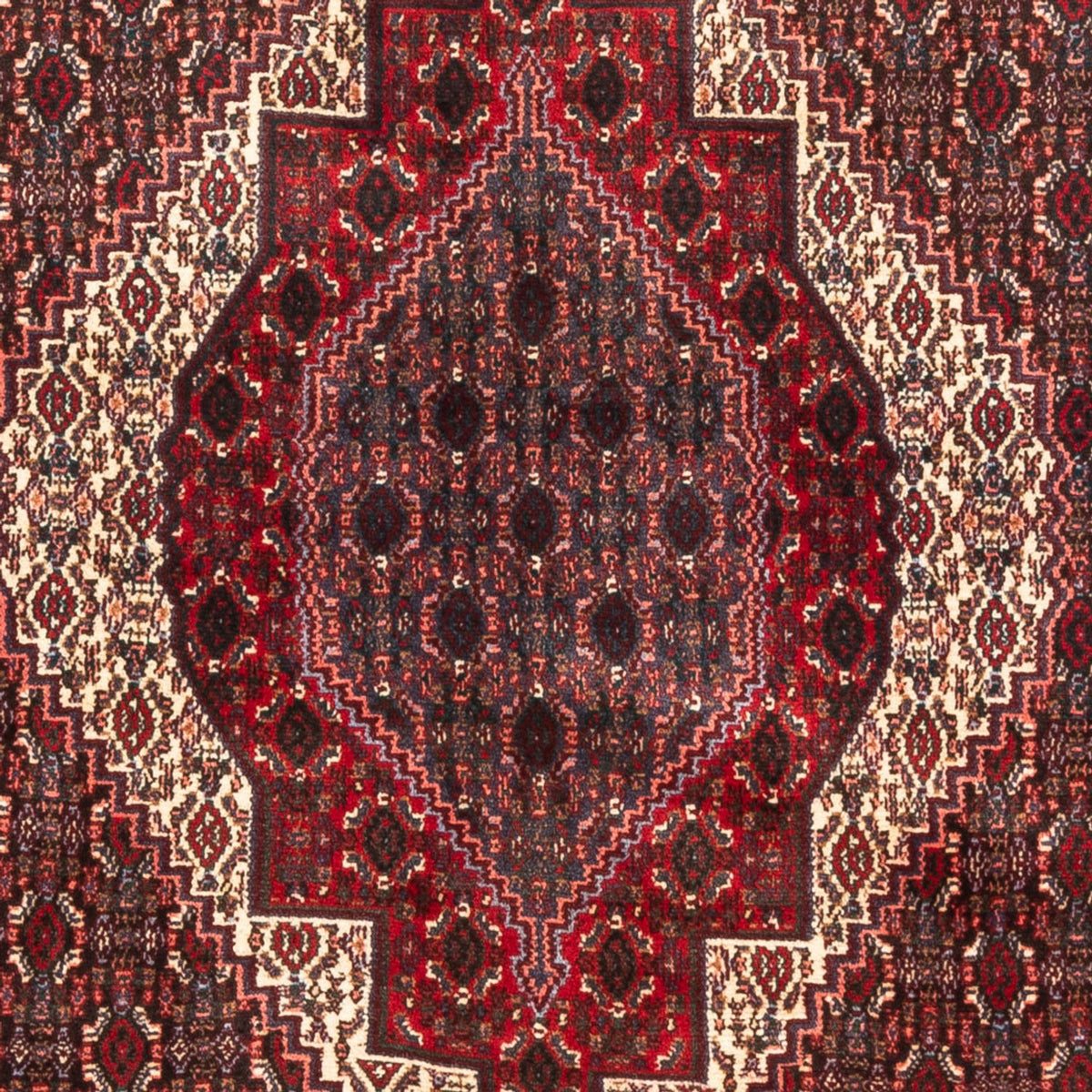 Perser Rug - Classic - 145 x 123 cm - dark blue