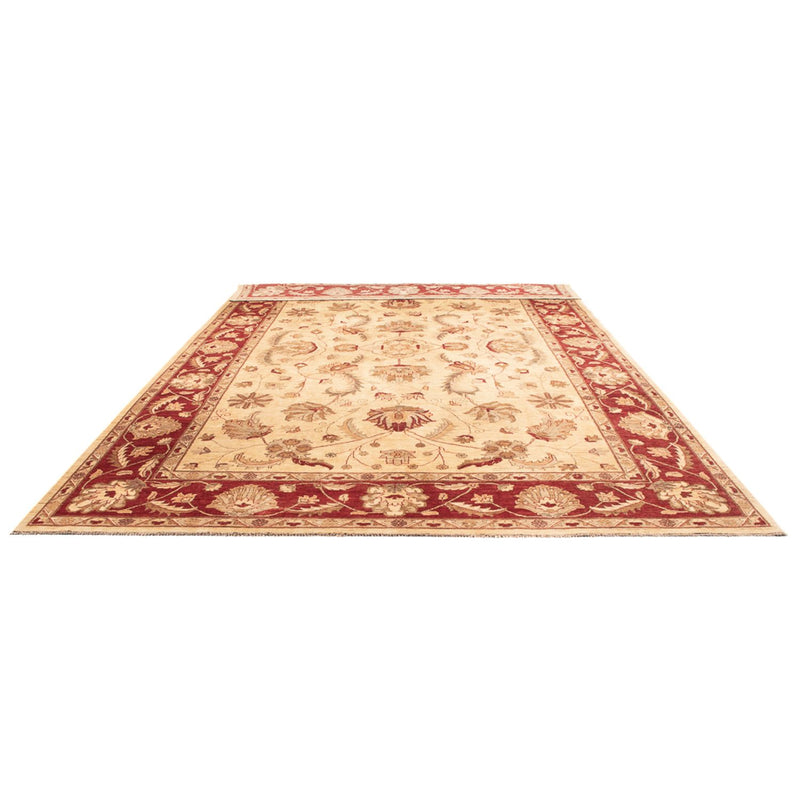Ziegler Rug - 455 x 308 cm - cream