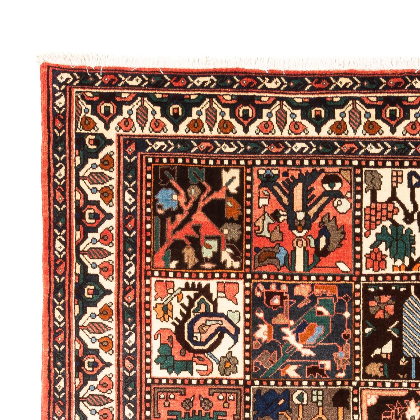 Bakhtiari Rug 300x205cm - Persian Rugs