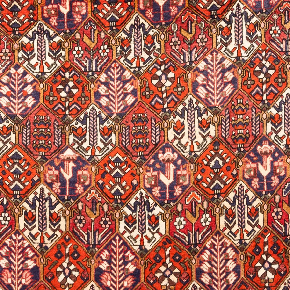 Perser Rug - Nomadic - 310 x 210 cm - red