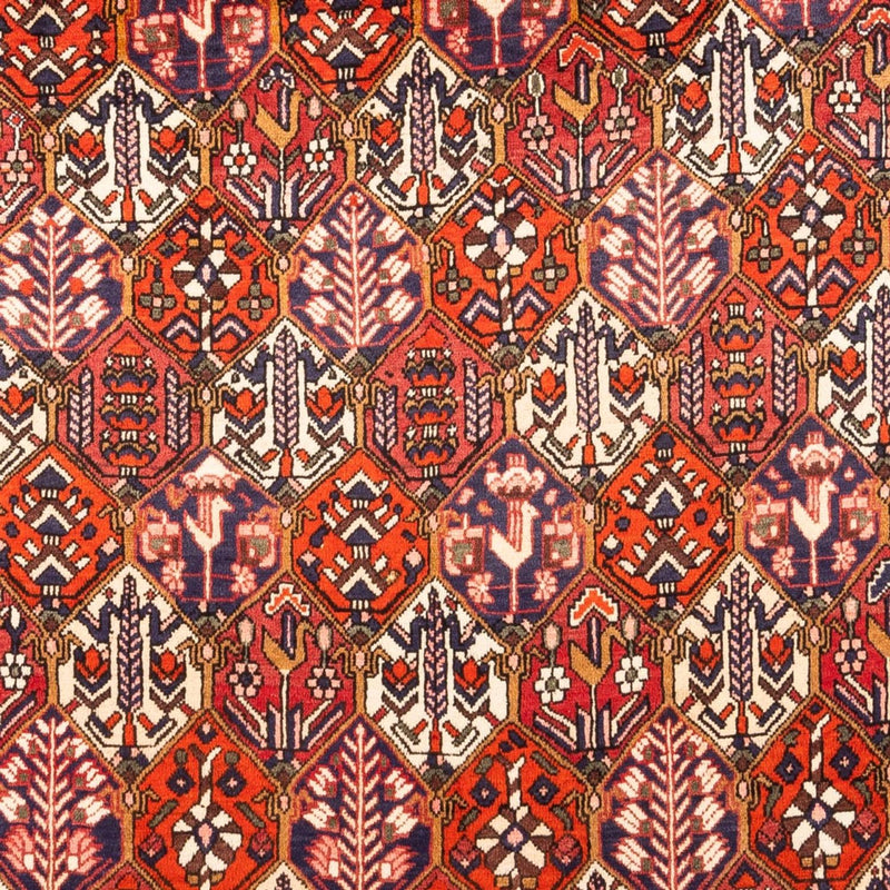 Perser Rug - Nomadic - 310 x 210 cm - red