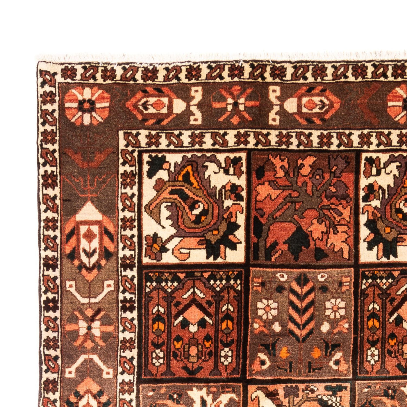 Perser Rug - Nomadic - 307 x 206 cm - multicolored