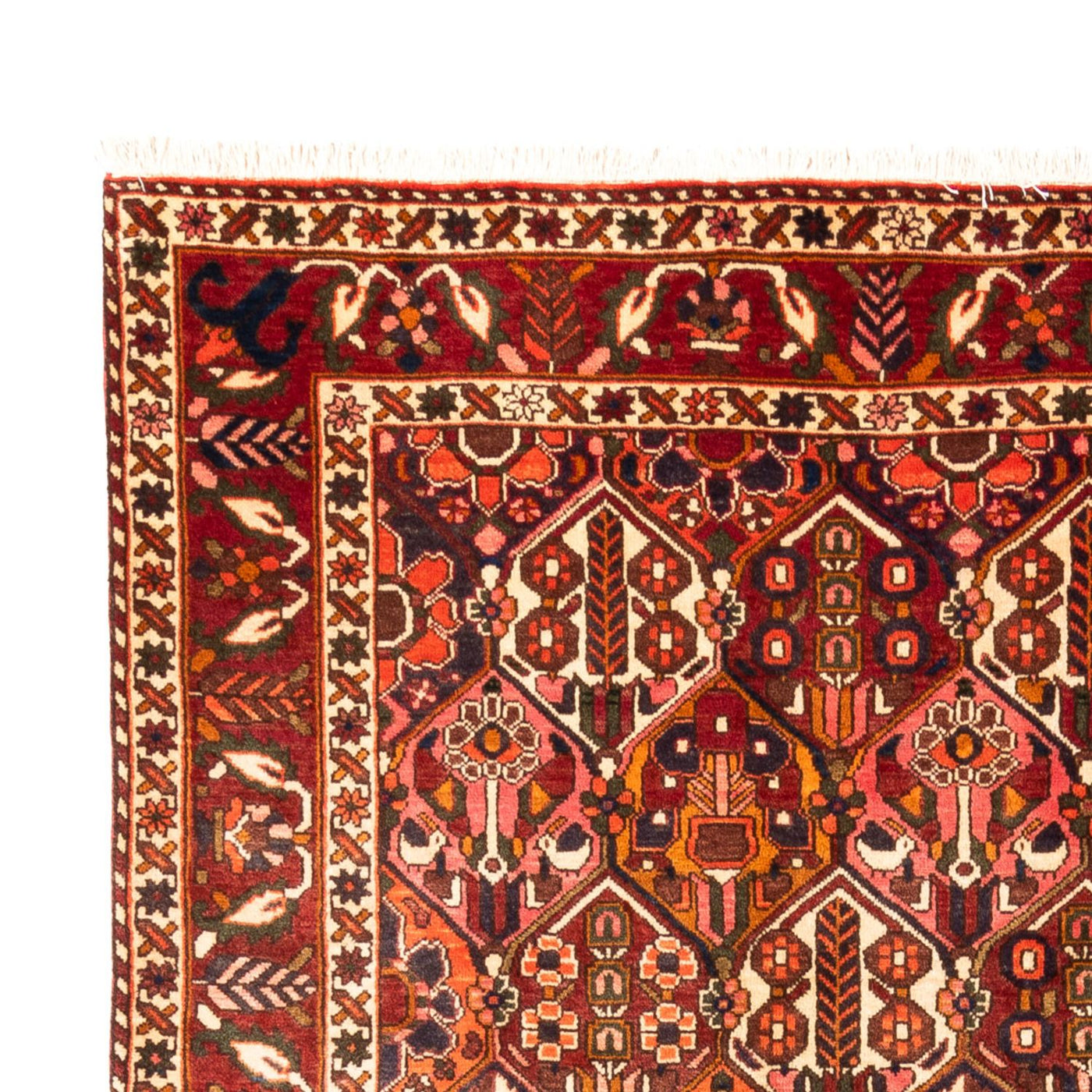 Bakhtiari Rug 308x210cm - Persian Rugs