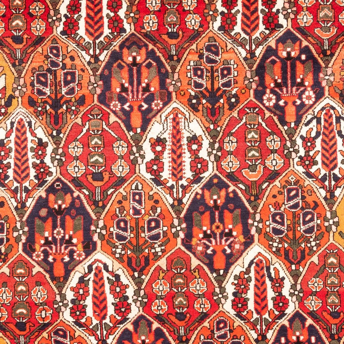 Perser Rug - Nomadic - 300 x 220 cm - multicolored