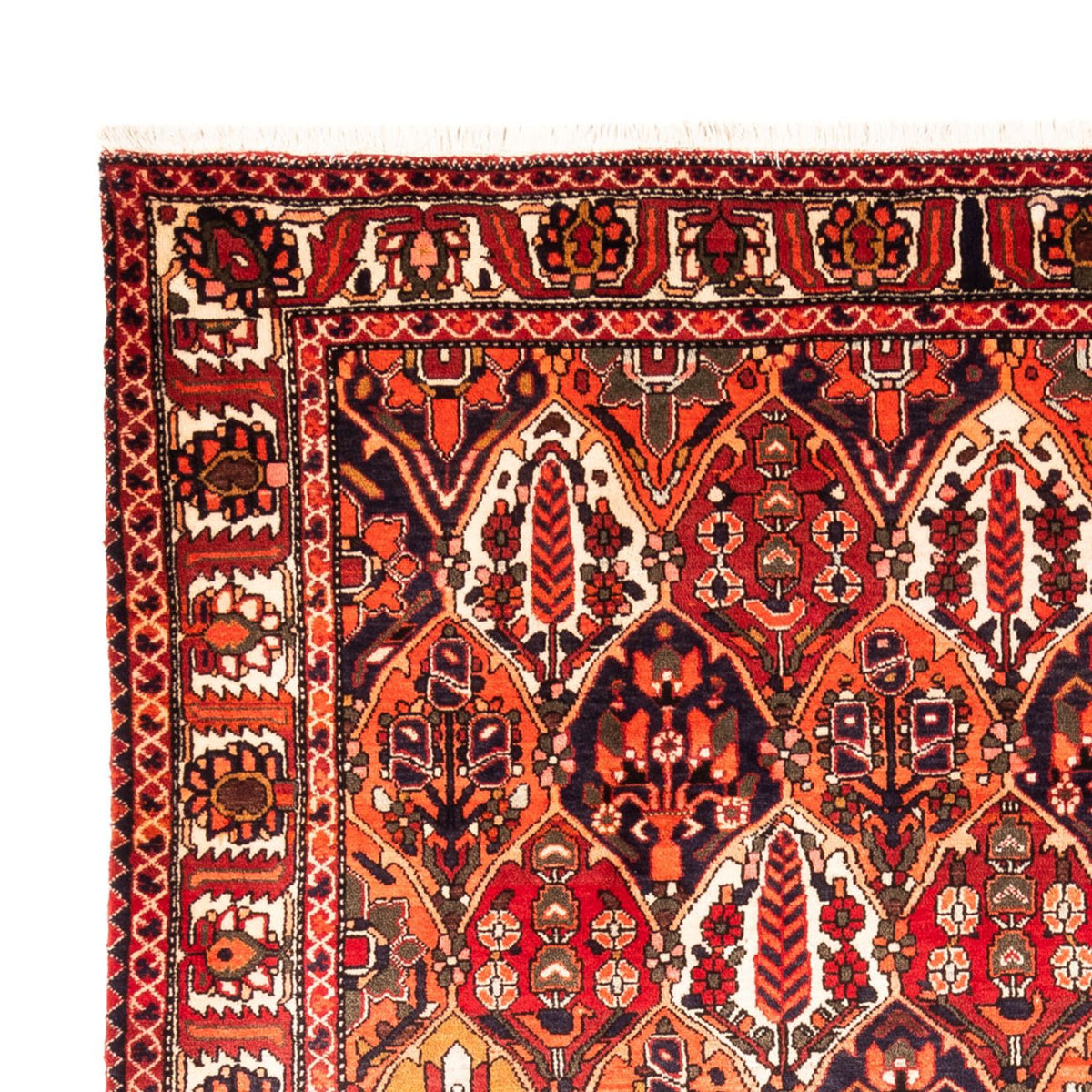 Perser Rug - Nomadic - 300 x 220 cm - multicolored