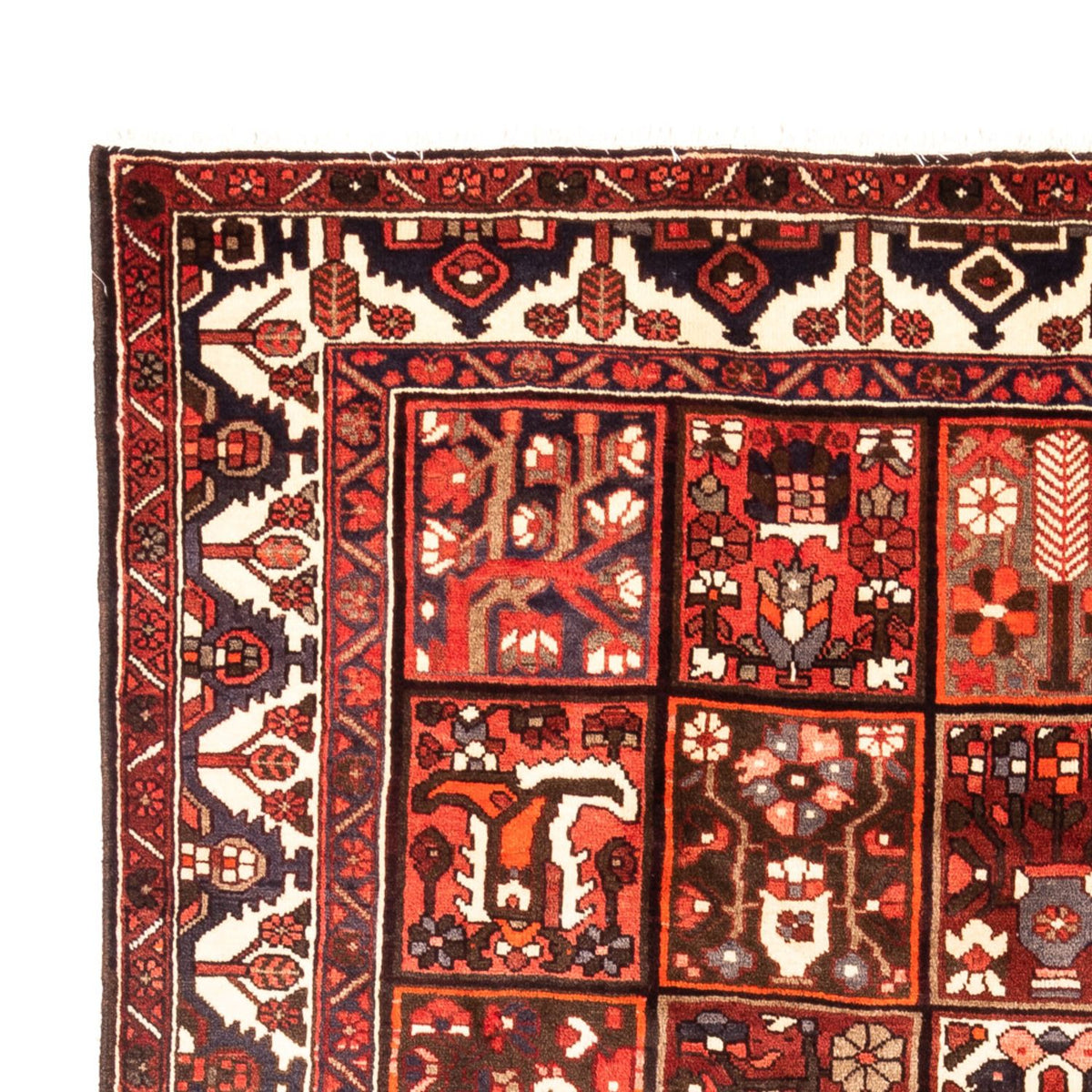 Perser Rug - Nomadic - 307 x 205 cm - multicolored