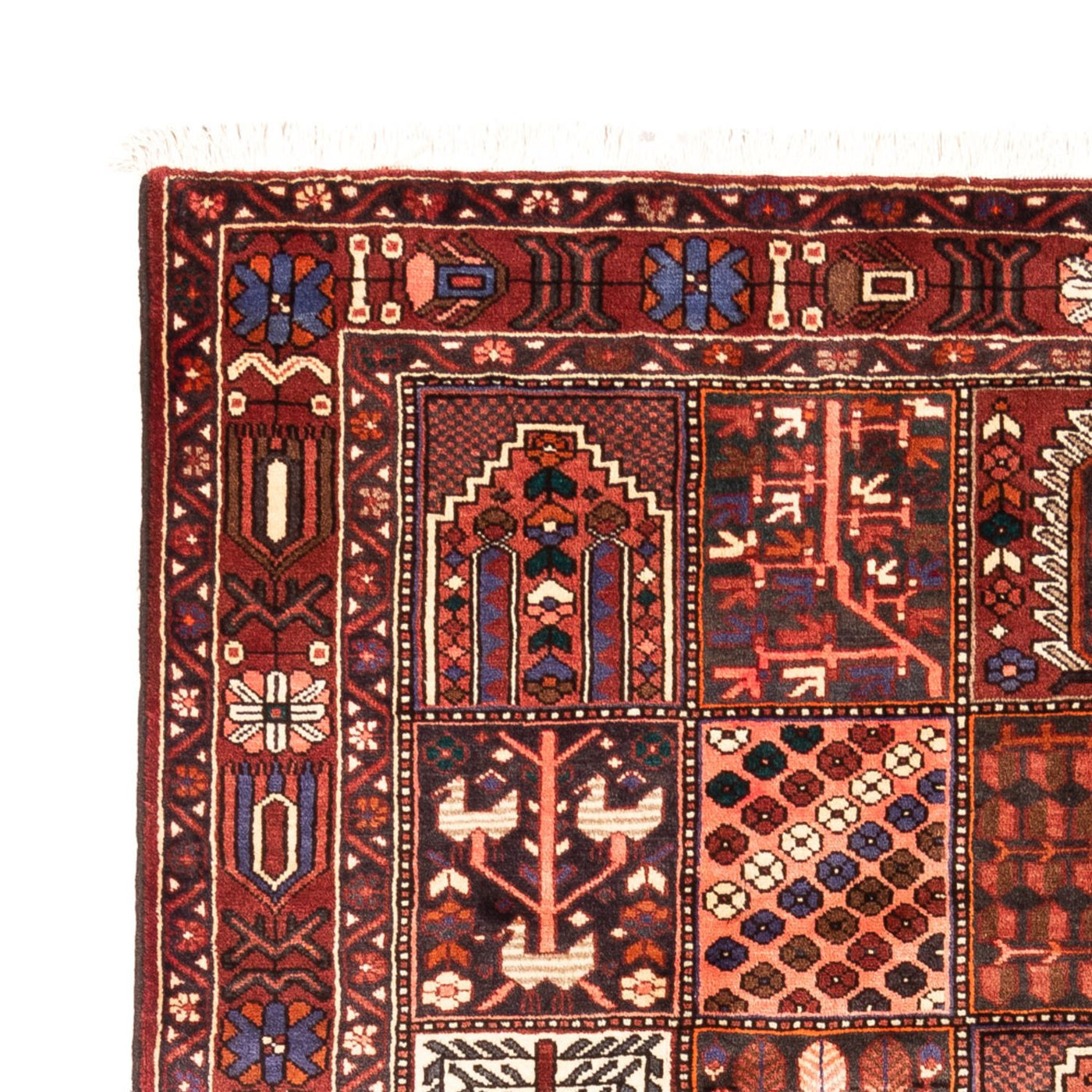 Bachtiar Teppich 310x208cm - Perserteppich