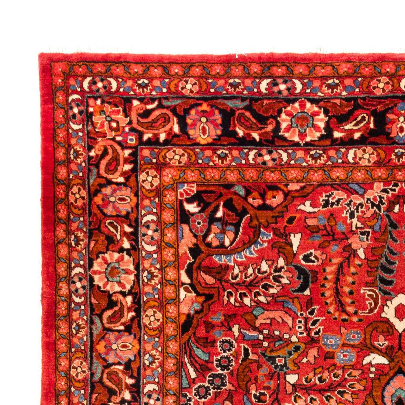 Lilian Rug 340x227cm - Persian Rugs