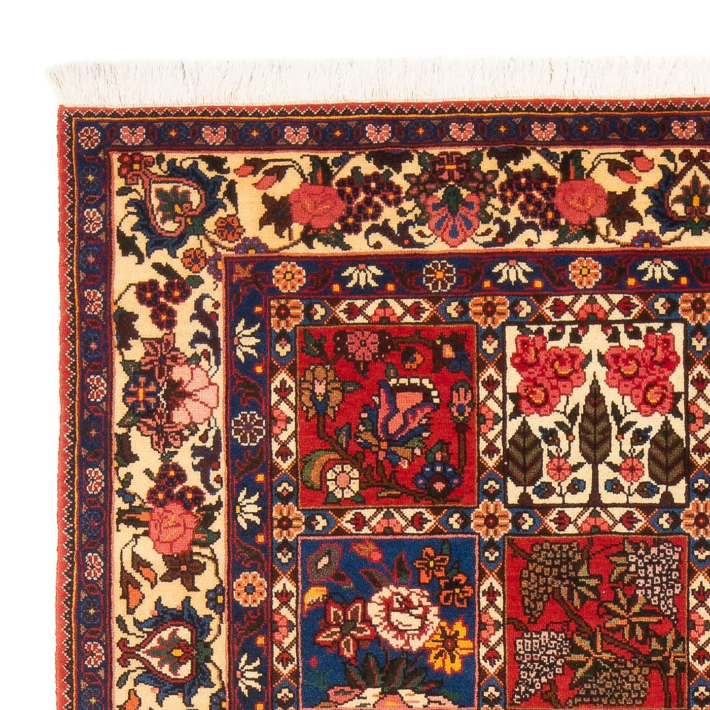 Bakhtiari Rug 205x138cm - Persian Rugs