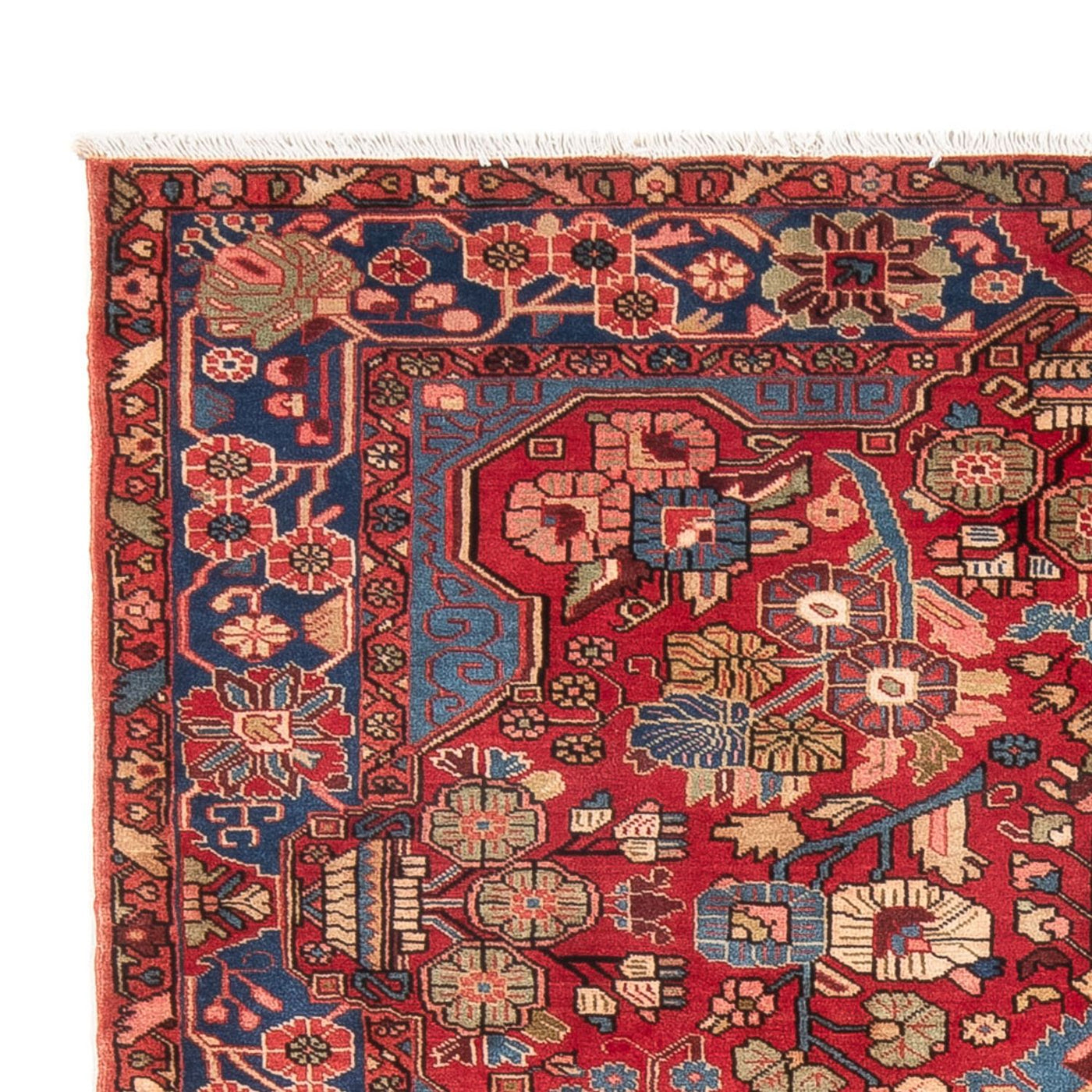 Sarouk Rug 242x158cm - Persian Rugs