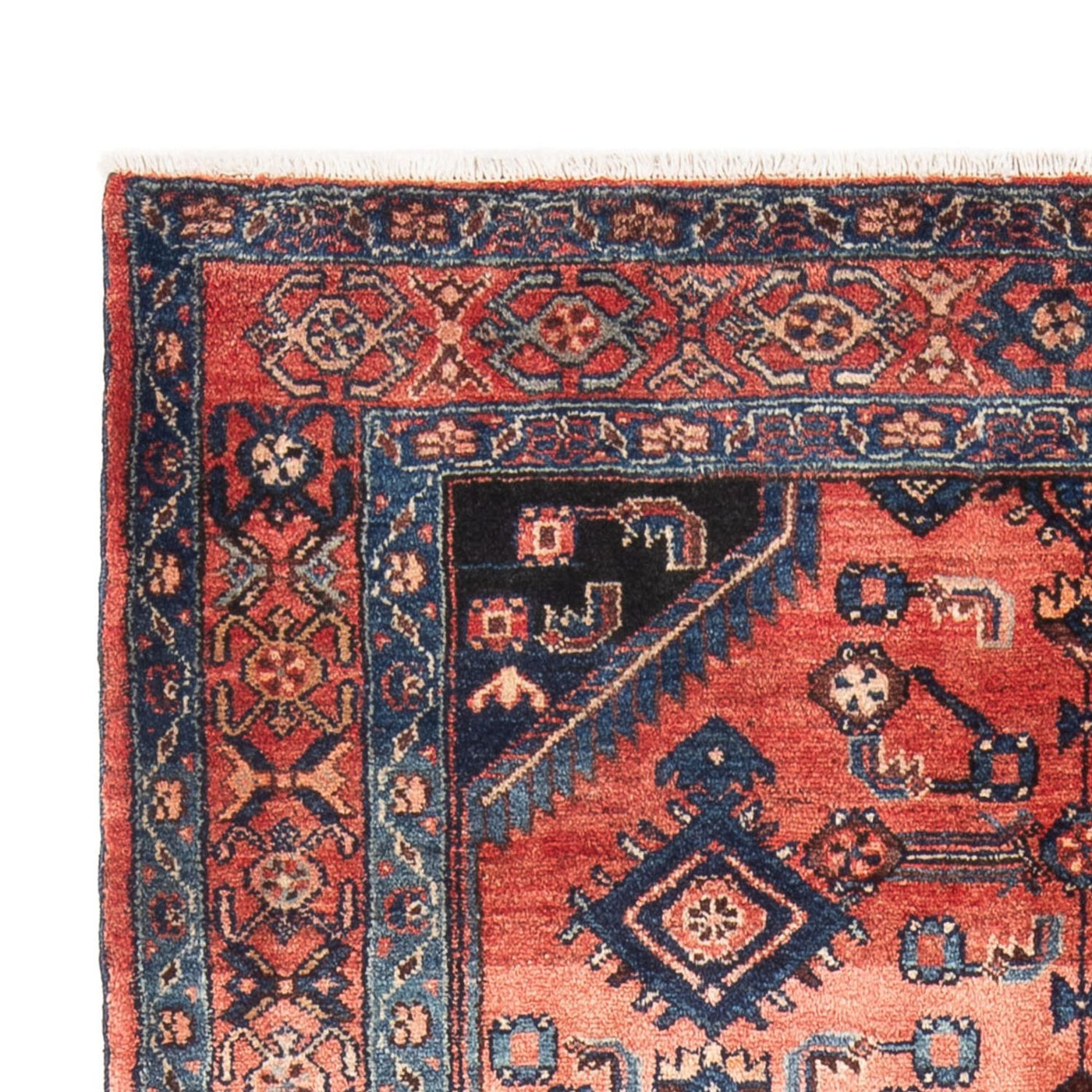 Hamadan Rug 217x133cm - Persian Rugs