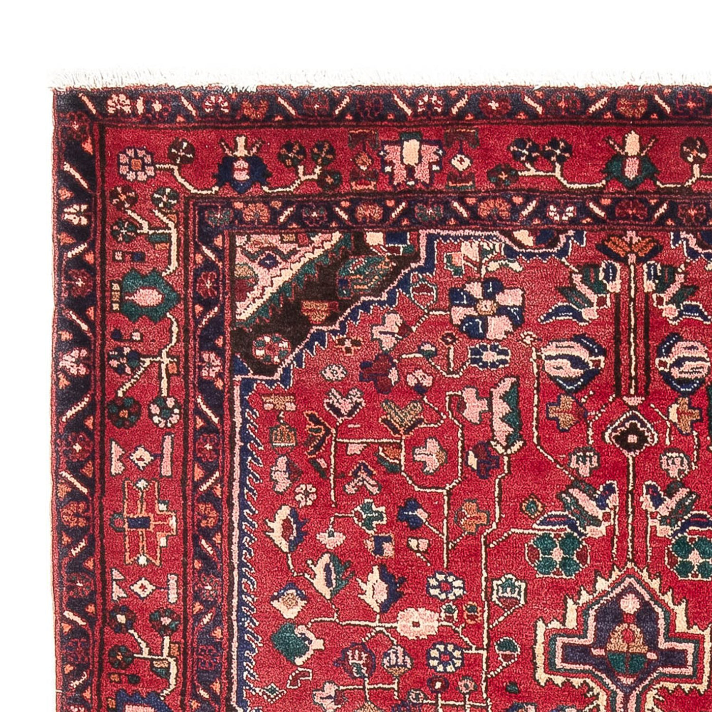 Kolyai Rug 237x152cm - Persian Rugs