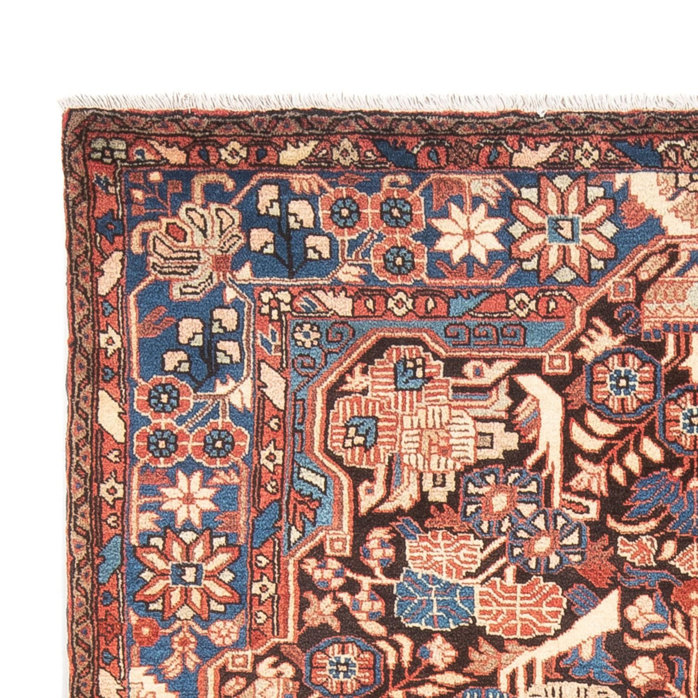 Nahavand Rug 244x155cm - Persian Rugs