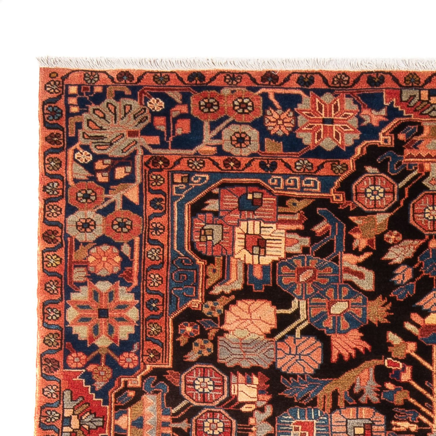 Nahavand Rug 245x154cm - Persian Rugs