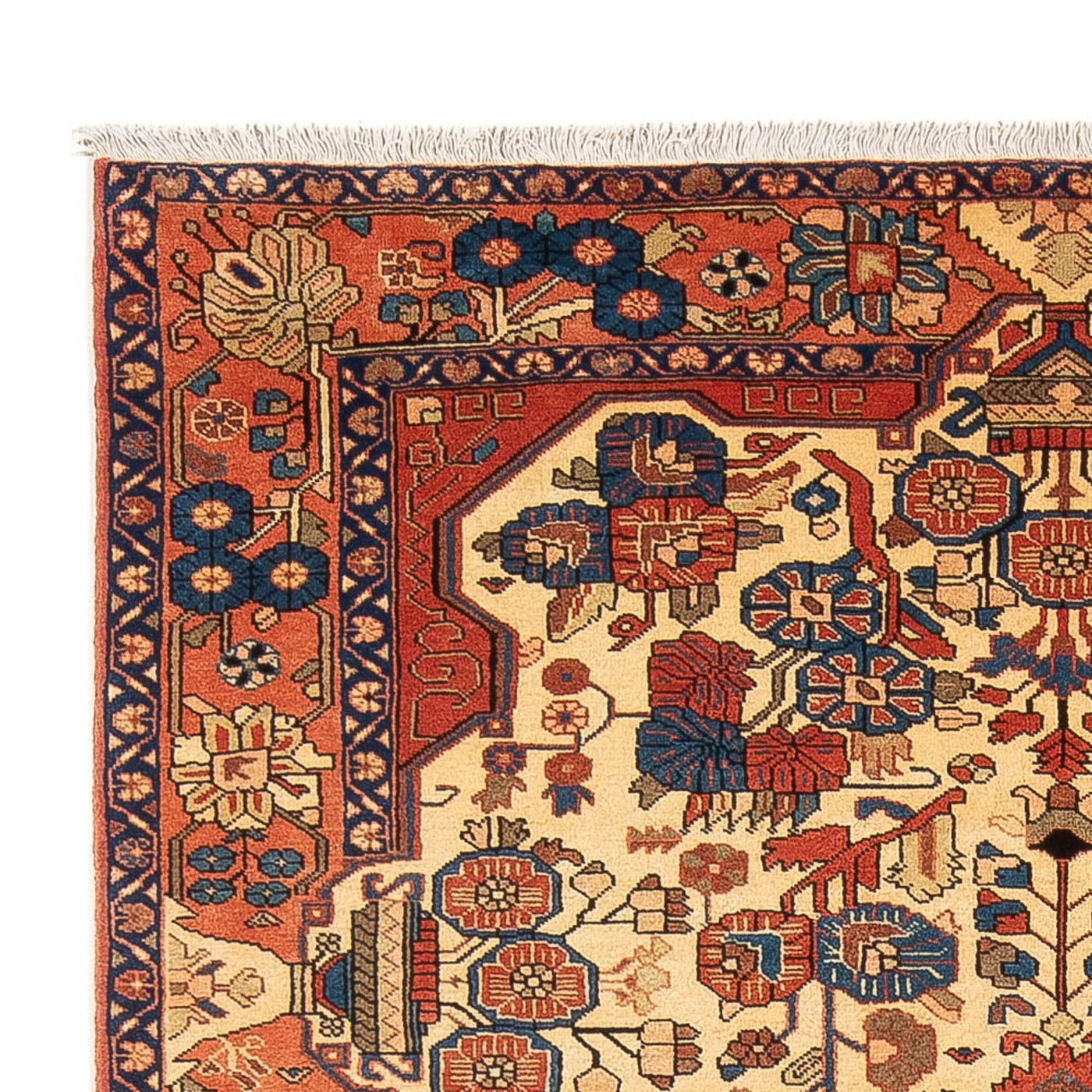 Nahavand Rug 238x160cm - Persian Rugs
