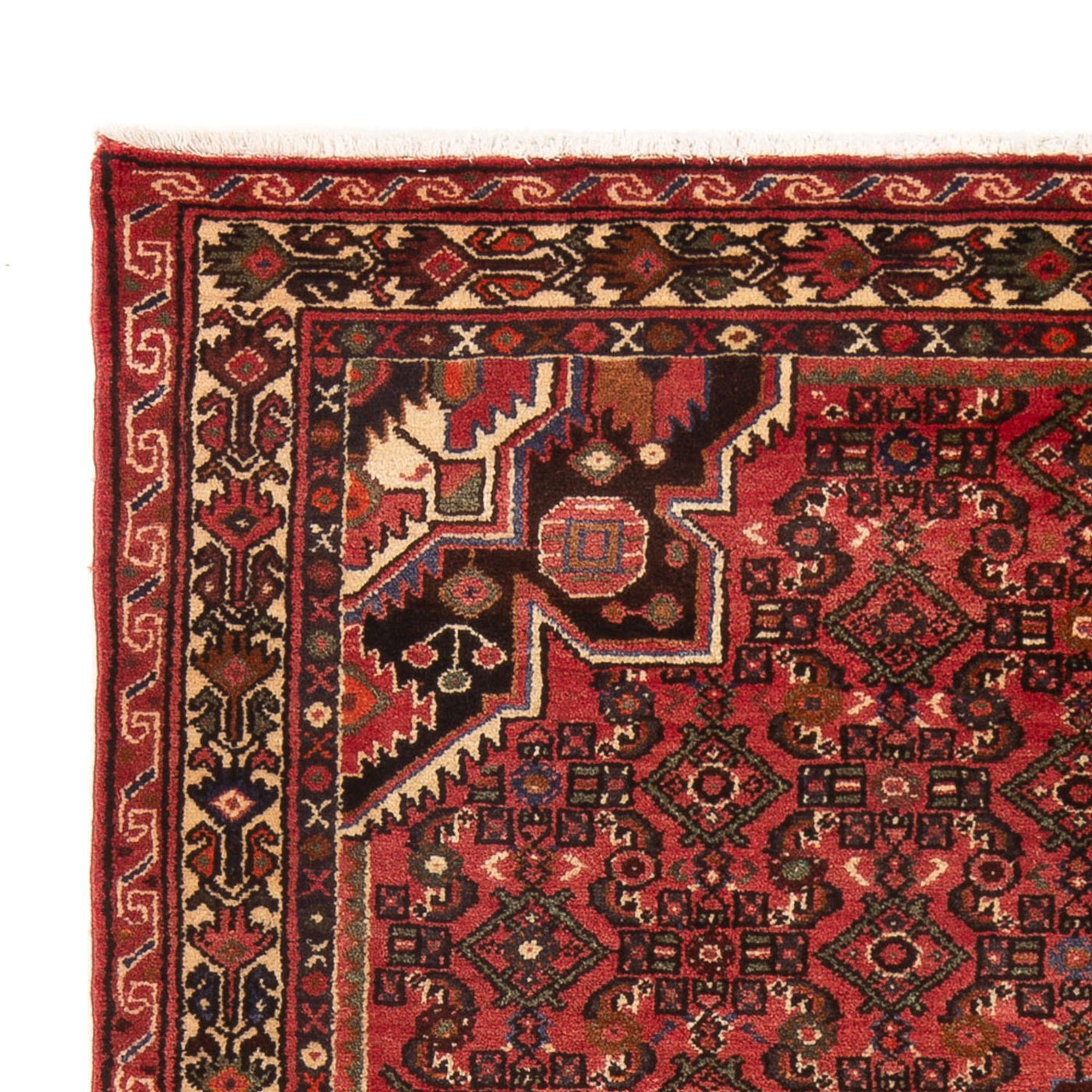 Hamadan Rug 220x155cm - Persian Rugs