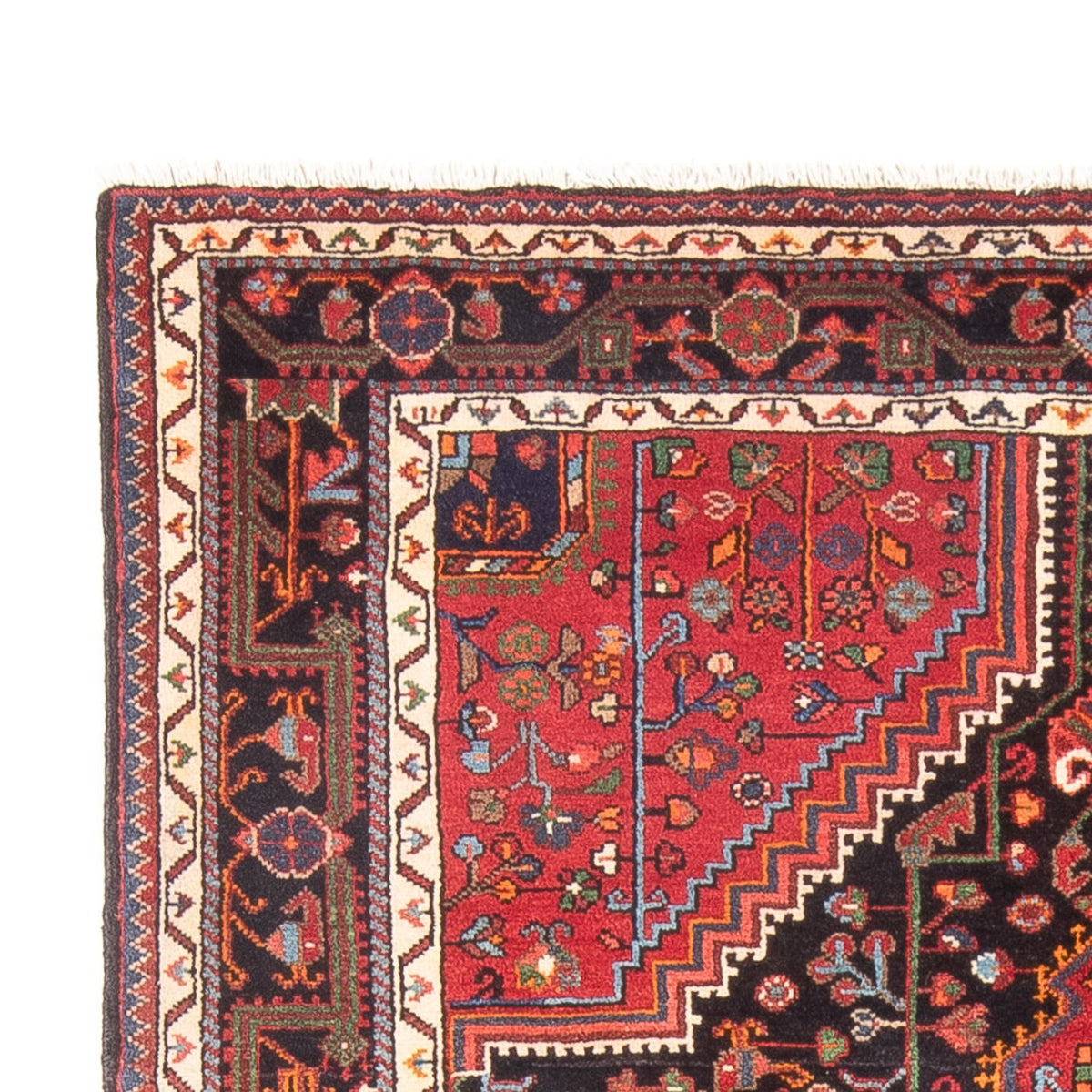Hamadan Rug 150x250cm - Persian Rugs