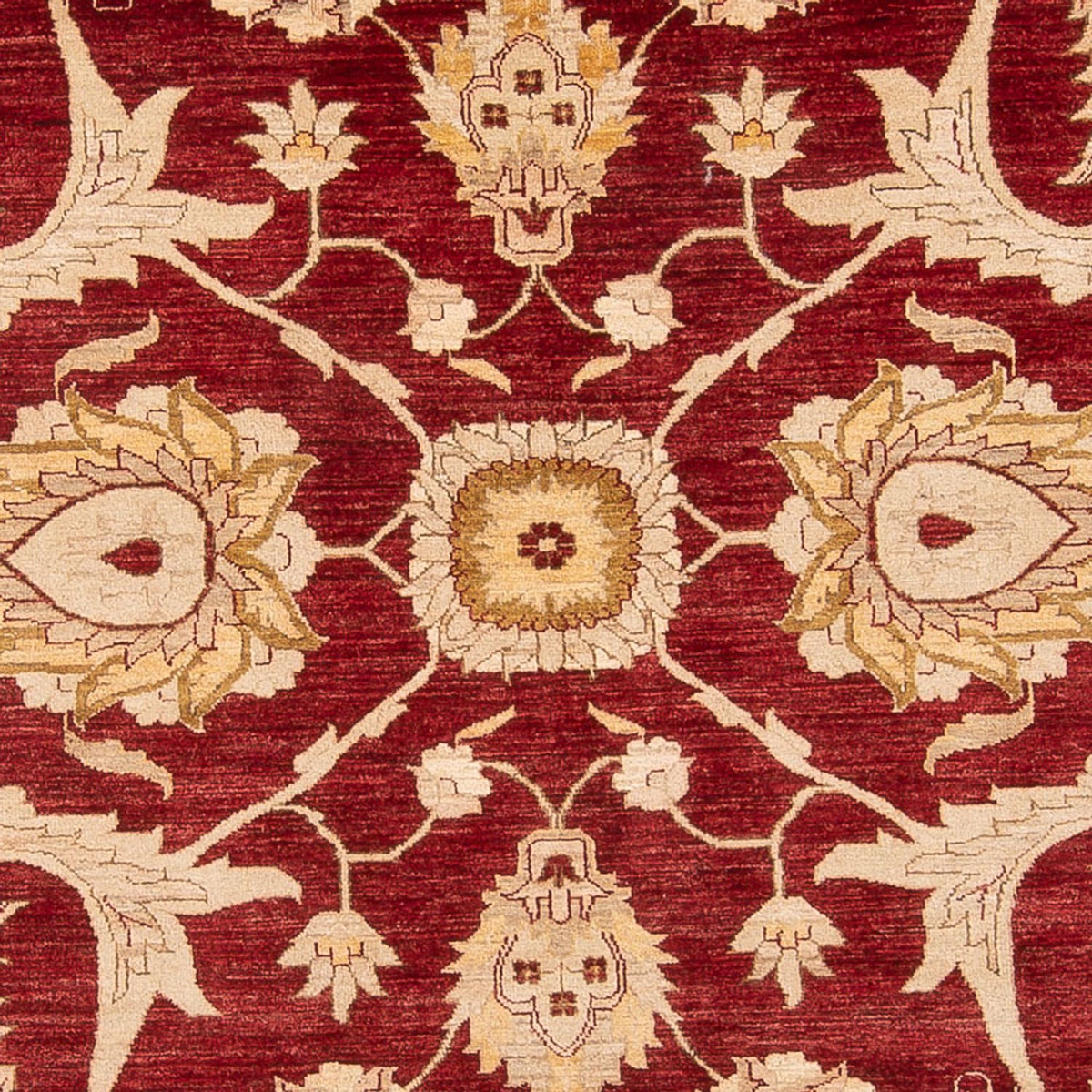 Ziegler Rug - 371 x 298 cm - red