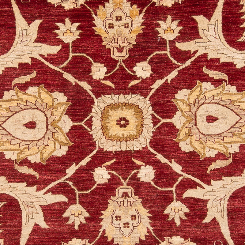 Ziegler Rug - 371 x 298 cm - red