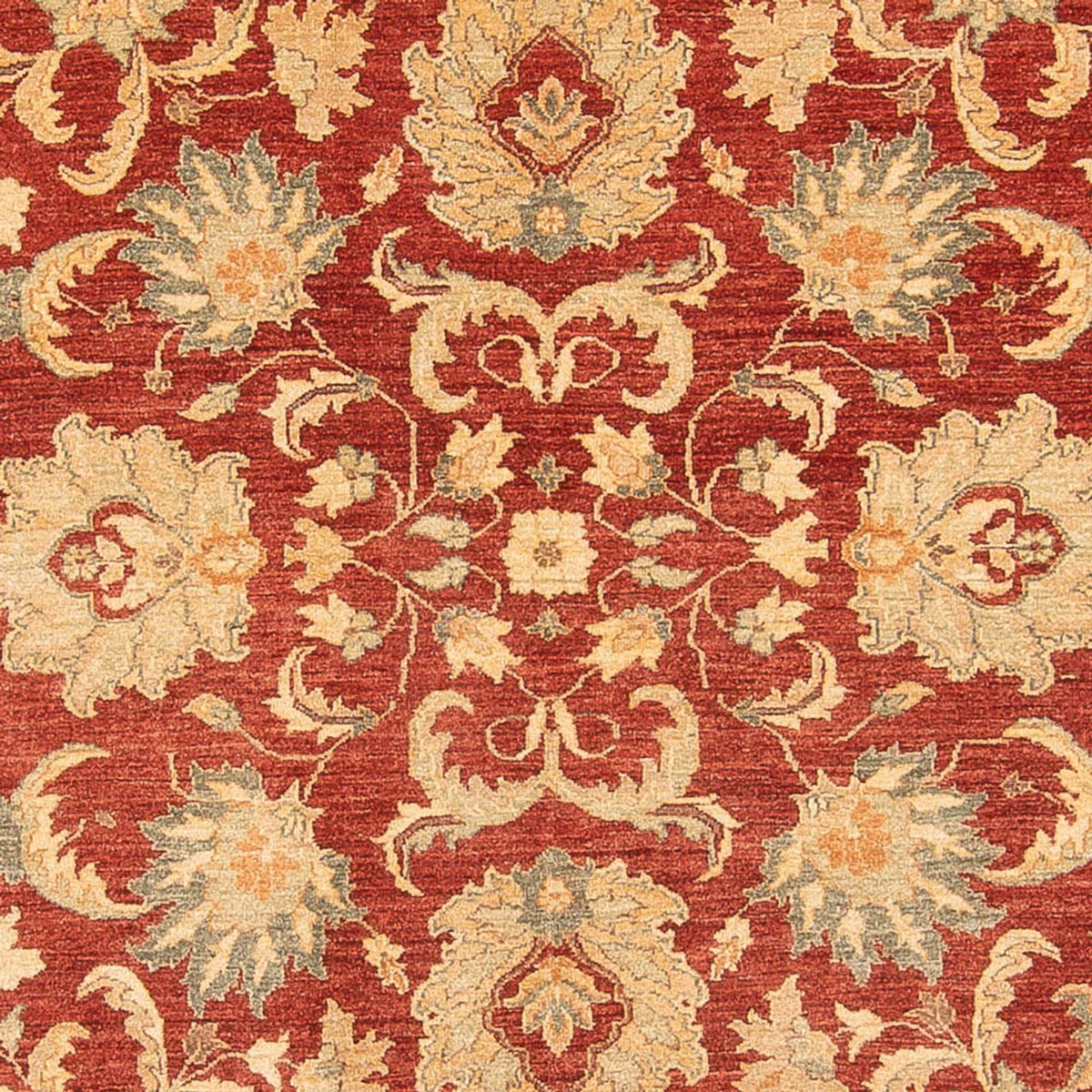 Ziegler Rug - 372 x 282 cm - red