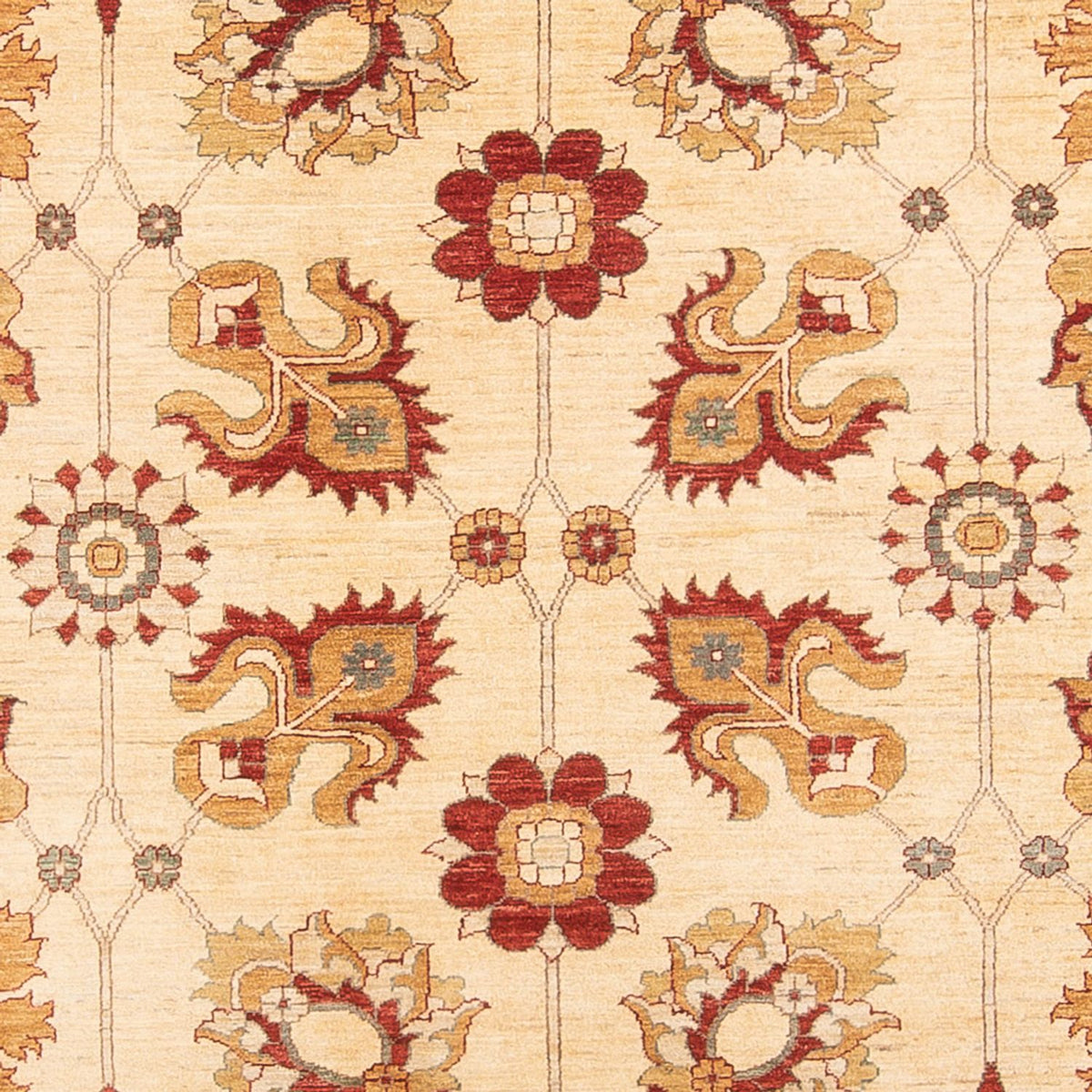 Ziegler Rug - 385 x 294 cm - beige