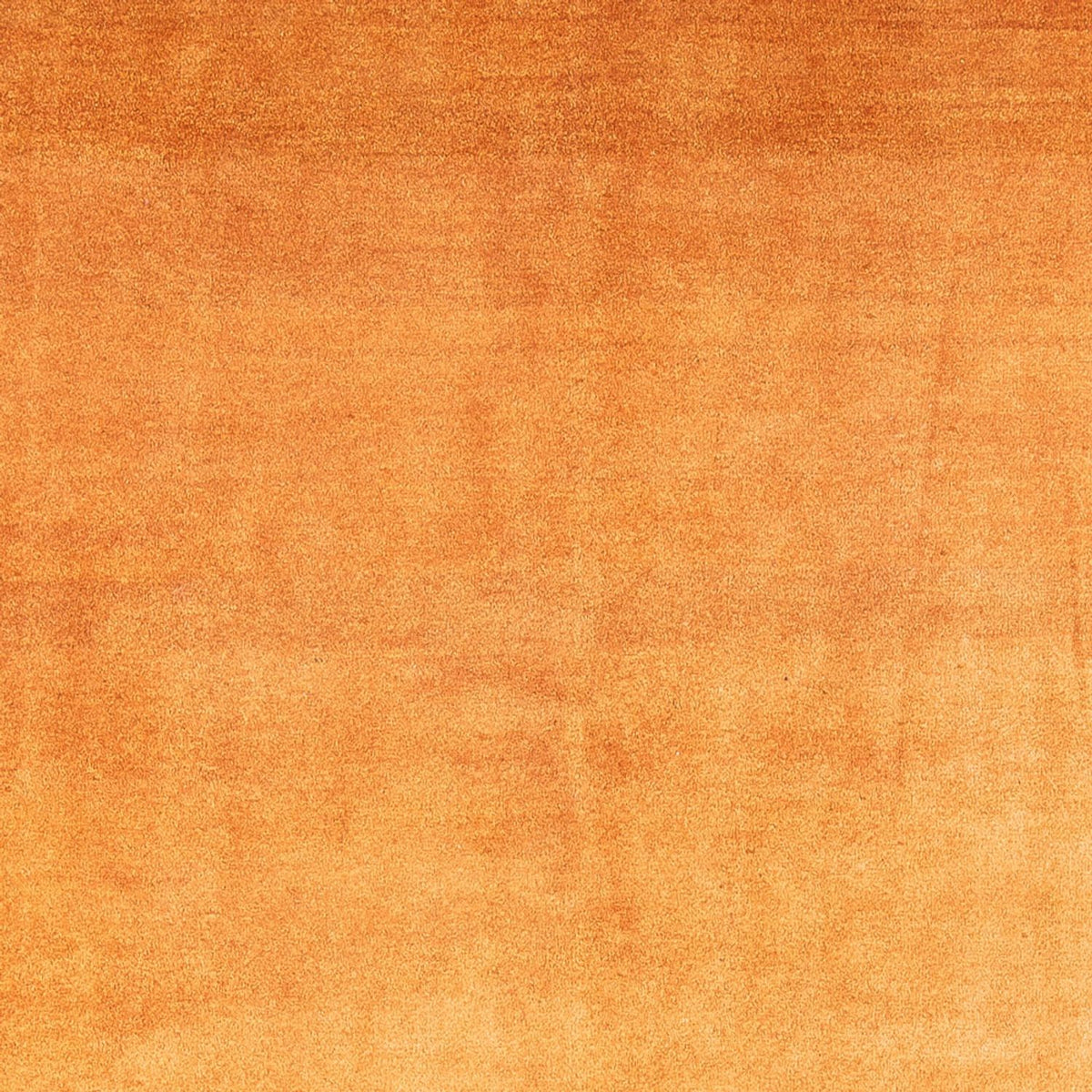 Gabbeh Rug - Perser - 286 x 225 cm - gold