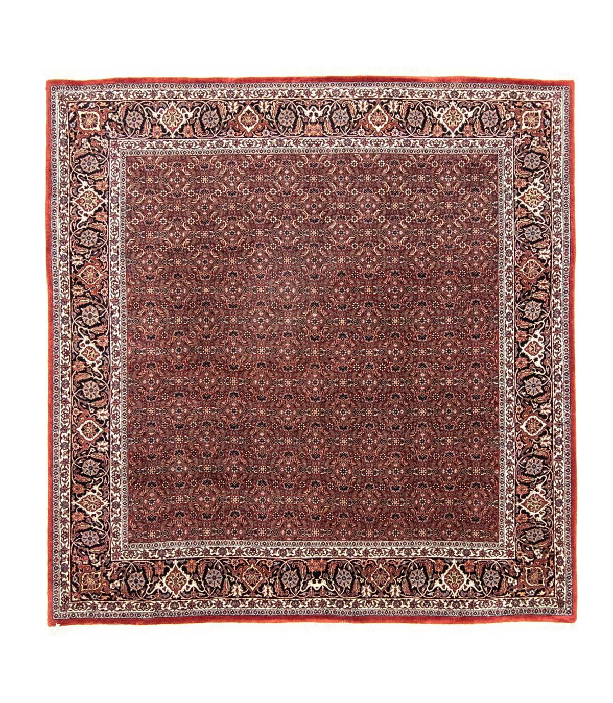 Perser Rug - Bidjar square  - 210 x 210 cm - red