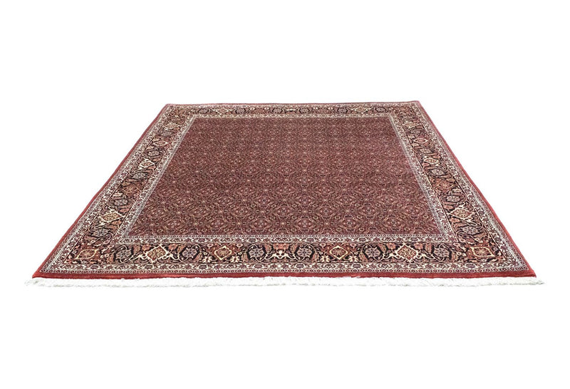 Perser Rug - Bidjar square  - 210 x 210 cm - red