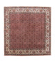 Bidjar Rug 210x203cm - Persian Rugs