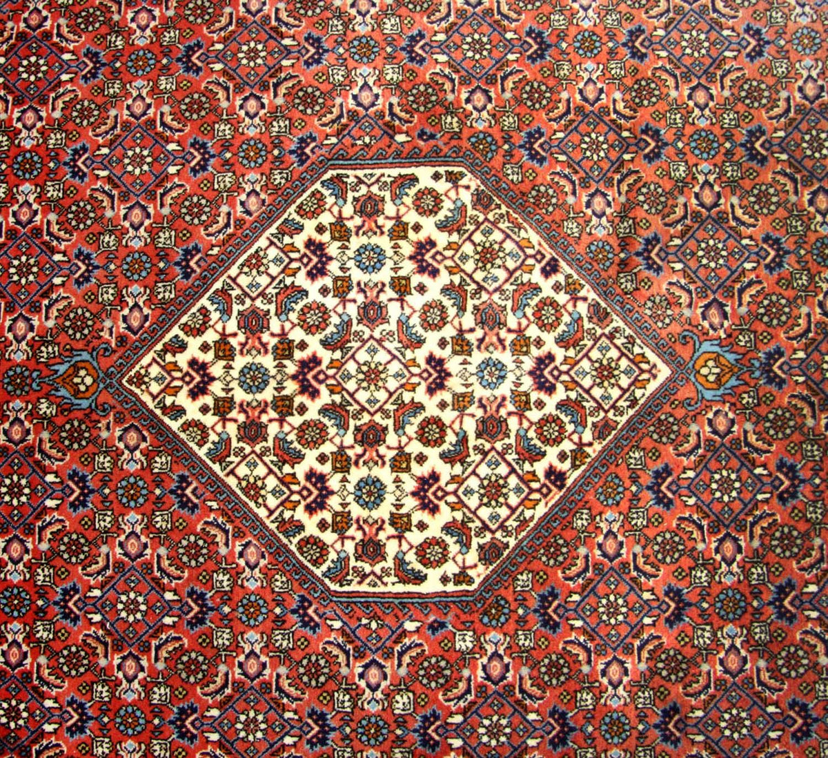 Perser Rug - Bidjar square  - 260 x 247 cm - brown