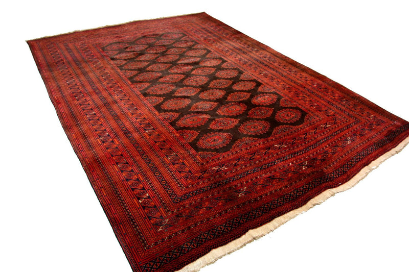 Afghan Rug - Bukhara - 275 x 198 cm - red