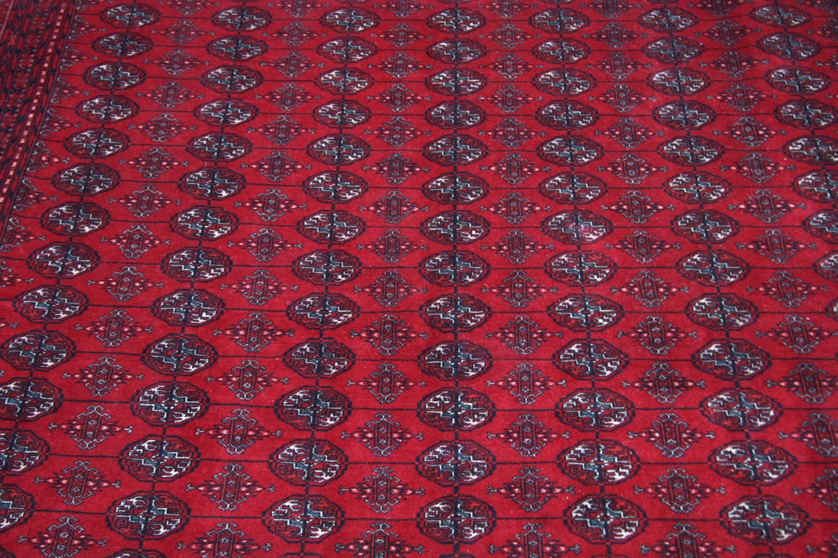 Afghan Rug - Bukhara - 338 x 258 cm - red