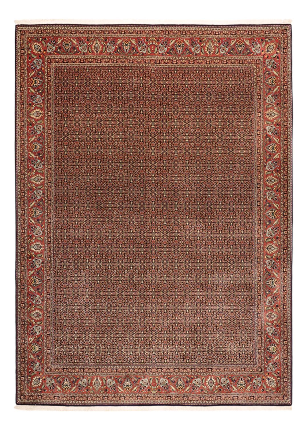 Perser Rug - Bidjar - Royal - 342 x 252 cm - terracotta